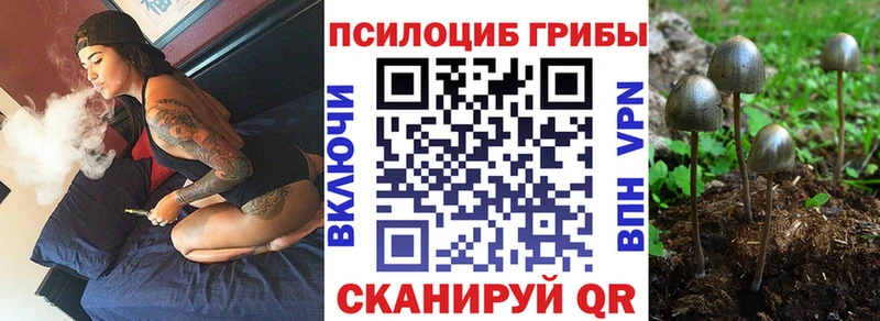 Галлюциногенные грибы GOLDEN TEACHER  Владимир 